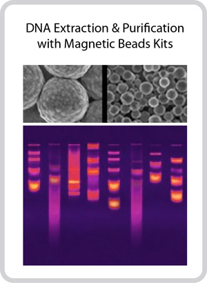 Si-Mag DNA kits
